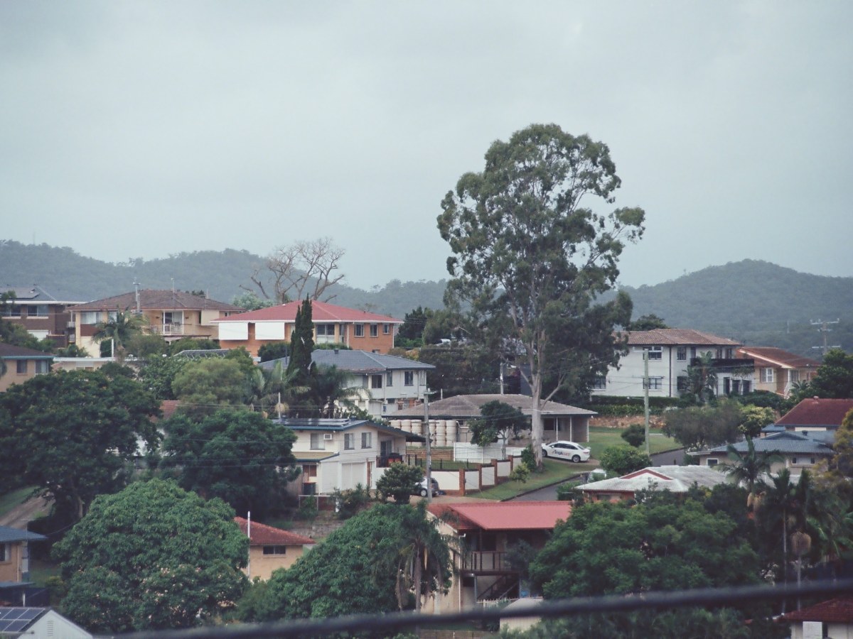 01 in the beginning there was&nbsp;Reed