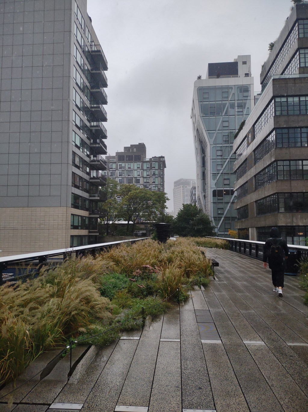 The High Line –&nbsp;NYC